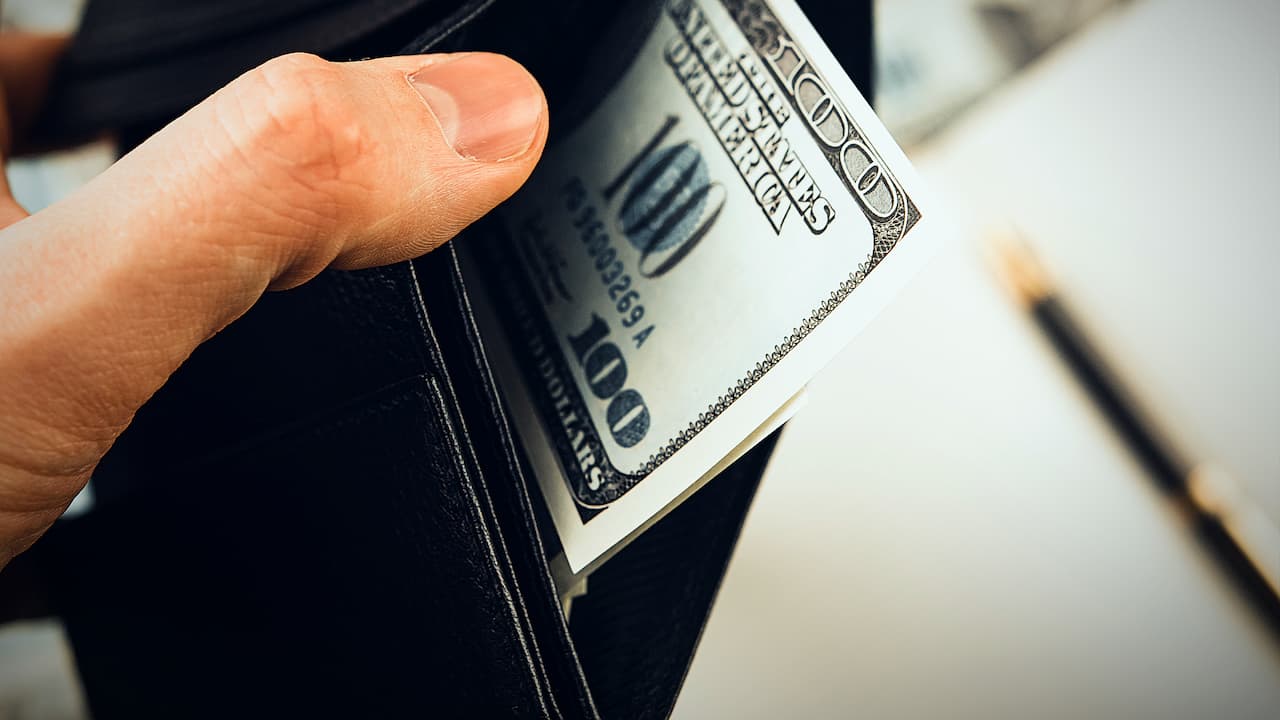Wallet in hand opened
